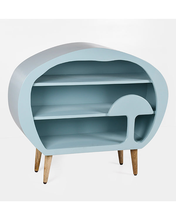 Teal storage shelf for books and toys